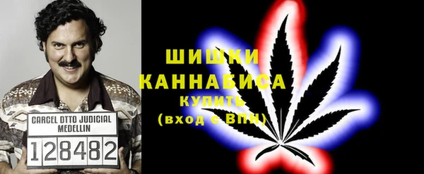 PSILOCYBIN Балабаново