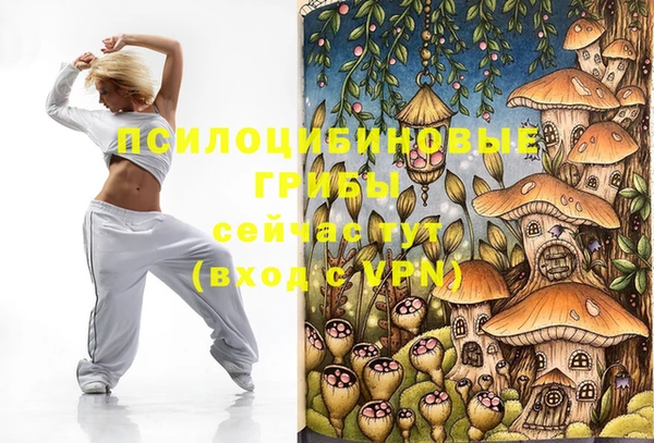 PSILOCYBIN Балабаново