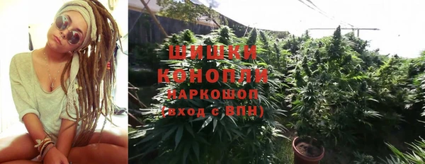 PSILOCYBIN Балабаново
